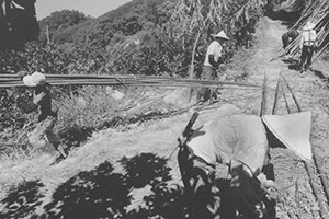 story01