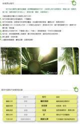 涼蓆比較圖03