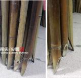 削尖竹尾巴7尺-4尺04