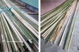 夢想竹條